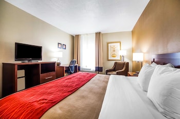 Standard Room, 1 King Bed, Accessible