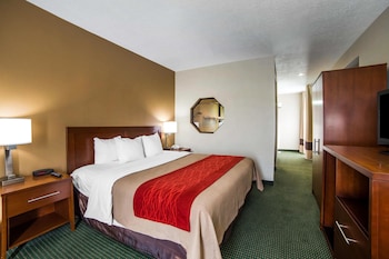Standard Room, 1 King Bed, Accessible