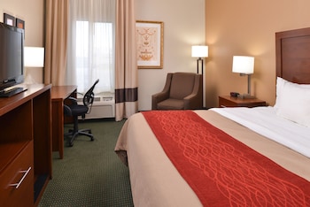 Standard Room, 1 King Bed, Accessible