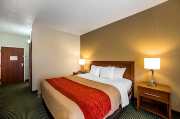 Standard Room, 1 King Bed, Non Smoking