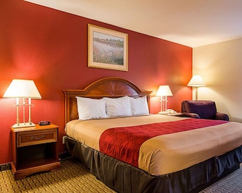 Standard Room, 1 King Bed, Smoking