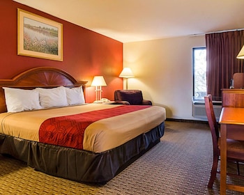Standard Room, 1 King Bed, Smoking