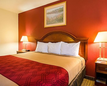Standard Room, 1 King Bed, Smoking