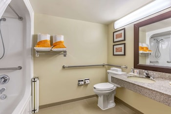 Room, 1 King Bed, Accessible, Non Smoking (Roll-ln Shower)
