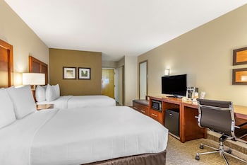 Standard Double Room, 2 Double Beds, Non Smoking