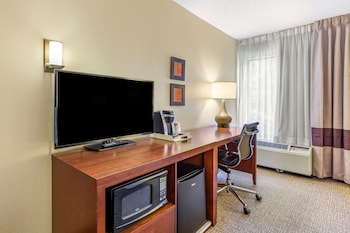 Room, 1 King Bed, Accessible, Non Smoking (Roll-ln Shower)