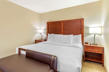 Deluxe Suite, 1 King Bed, Non Smoking