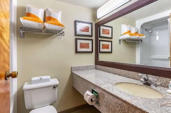 Suite, 1 King Bed, Non Smoking