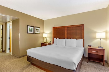 Suite, 1 King Bed, Non Smoking