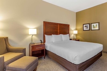 Room, 1 King Bed, Accessible, Non Smoking (Roll-ln Shower)
