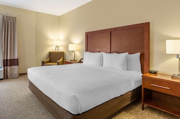 Room, 1 King Bed, Accessible, Non Smoking (Roll-ln Shower)