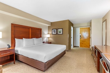 Standard Room, 1 King Bed, Non Smoking