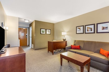 Deluxe Suite, 1 King Bed, Non Smoking