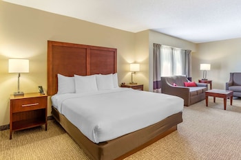 Suite, 1 King Bed, Non Smoking
