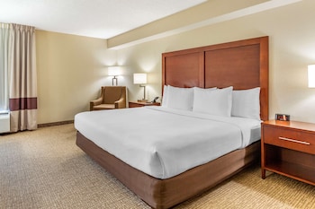 Standard Room, 1 King Bed, Non Smoking