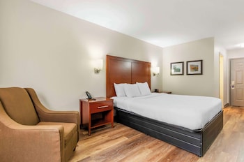 Standard Room, 1 King Bed