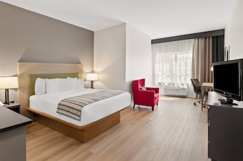 Suite, 1 Bedroom, Non Smoking