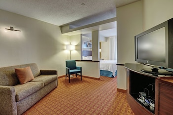 Suite, 1 King Bed with Sofa bed