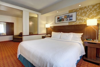 Suite, 1 King Bed with Sofa bed