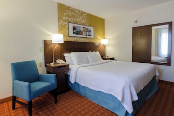 Room, 1 King Bed, Hearing Accessible (Roll-in Shower)