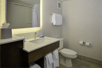 Standard Room, 1 King Bed, Accessible (Mobility, Roll-In Shower)