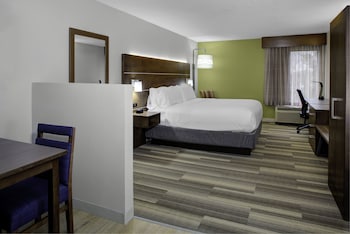 Suite, 1 King Bed with Sofa bed