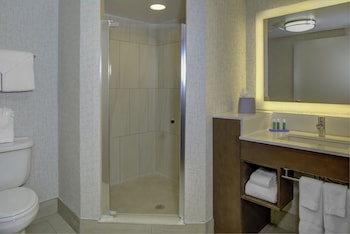 Suite, 1 King Bed with Sofa bed