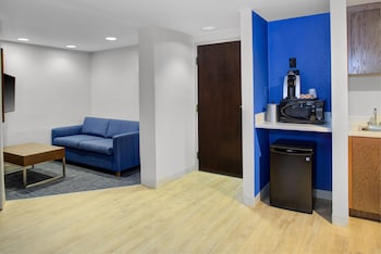 Suite, 1 King Bed with Sofa bed