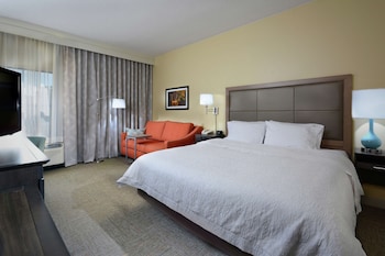 Room, 1 King Bed, Accessible, Bathtub (Mobility & Hearing)