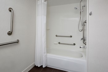 Room, 1 King Bed, Accessible, Bathtub (Mobility & Hearing)