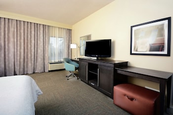Room, 1 King Bed, Accessible, Bathtub (Mobility & Hearing)