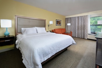 Standard Room, 1 King Bed, Non Smoking