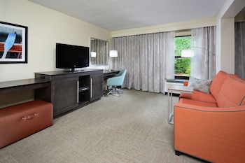 Suite, 1 King Bed, Non Smoking (Shower Only)