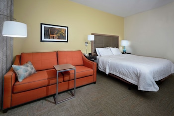 Room, 1 King Bed, Accessible, Bathtub (Mobility & Hearing)