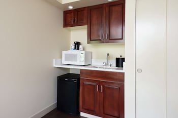 Suite, 1 King Bed, Non Smoking (Shower Only)