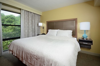 Suite, 1 King Bed, Non Smoking (Shower Only)