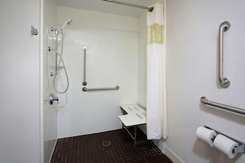 Room, 1 King Bed, Accessible (Roll-in Shower)