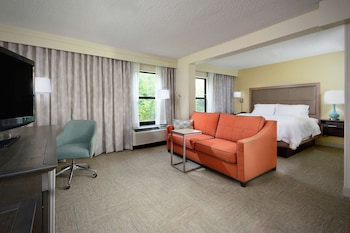 Suite, 1 King Bed, Non Smoking (Shower Only)
