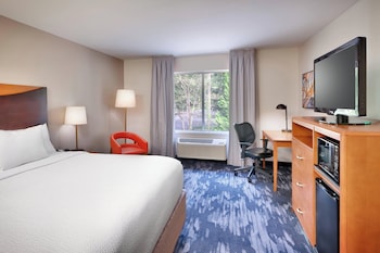 Room, 1 King Bed with Sofa bed (Hearing Accessible)