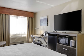 Standard Room, 1 King Bed, Non Smoking, Refrigerator & Microwave (with Sofabed)