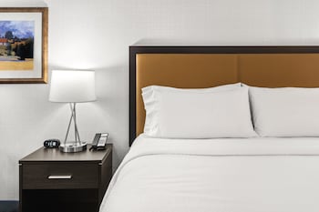 Suite, 1 King Bed (Exercise Bike)