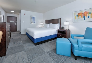 Standard Room, 1 King Bed, Mobility Accessible (Mobility, Roll-In Shower)