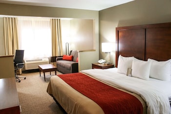 Suite, 1 King Bed with Sofa bed, Non Smoking