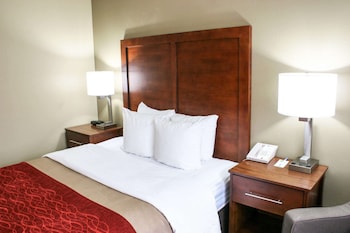 Room, 1 Queen Bed, Accessible, Non Smoking