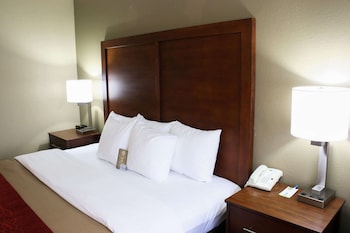 Standard Room, 1 King Bed, Non Smoking