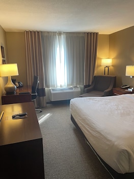 Room, 1 King Bed, Non Smoking