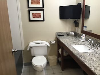 Suite, 1 King Bed with Sofa bed, Non Smoking