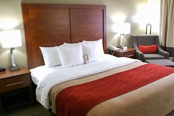 Standard Room, 1 King Bed, Non Smoking