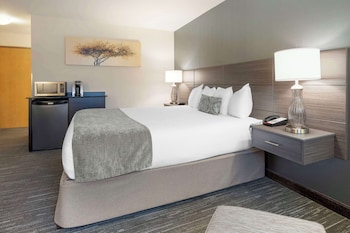 Standard Room, 1 King Bed, Non Smoking, Refrigerator & Microwave