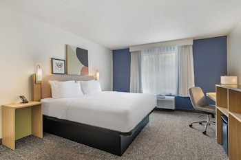 Room, 1 King Bed